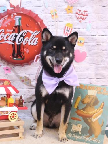 20230926マロくん